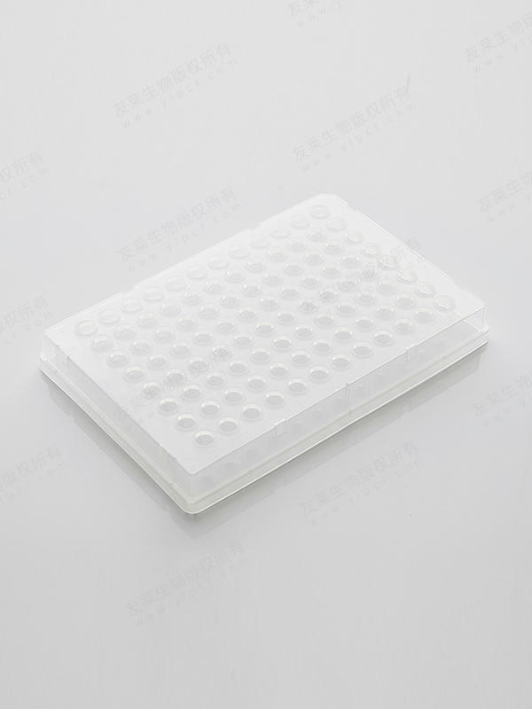 PCR板96孔板